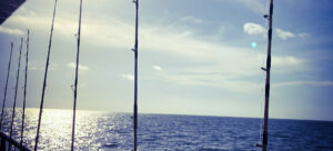 Ocean's