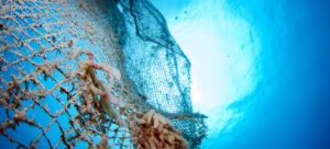 Fishing net in ocean