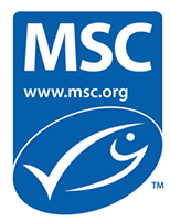 msc logo 0