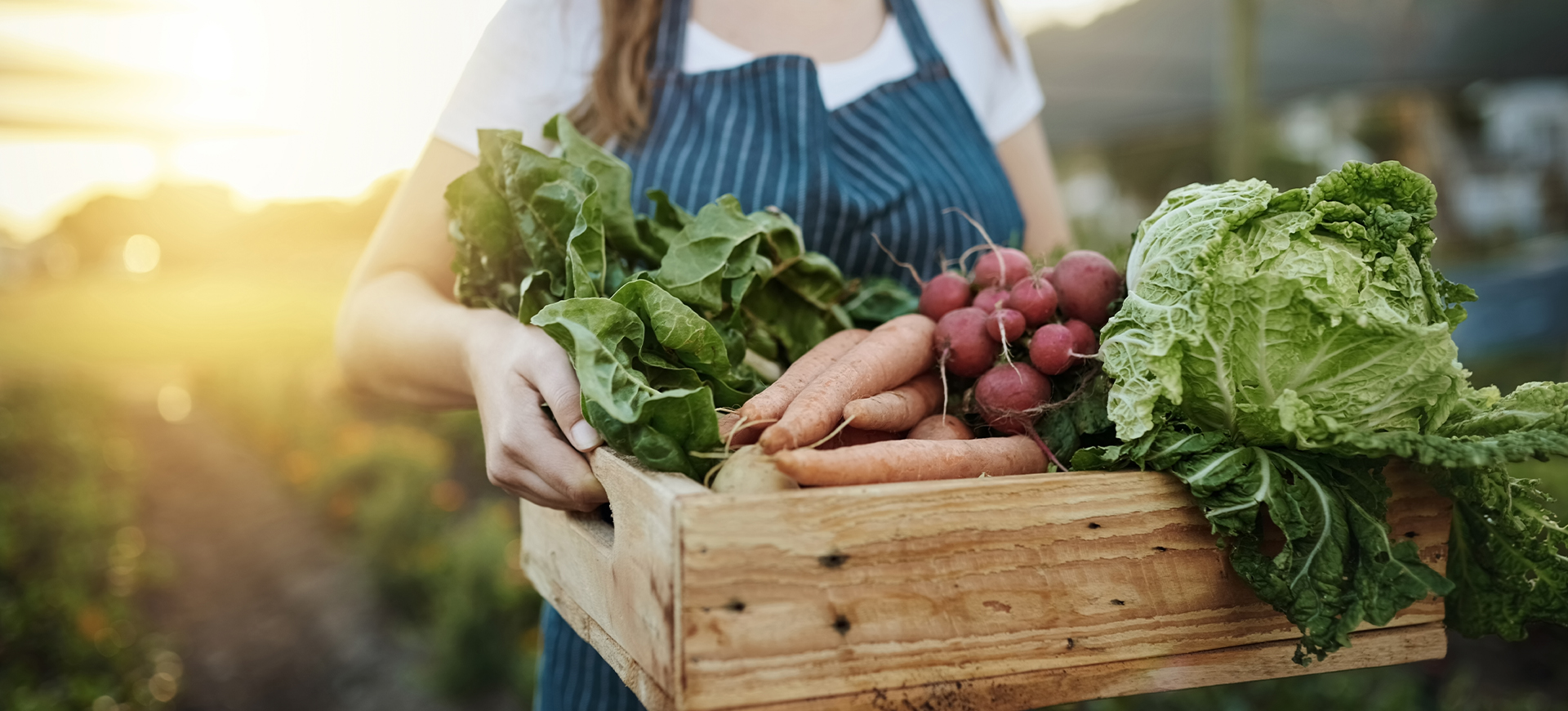 We’re Making World Food Day Our Day, Today and Every Day
